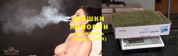 ешки Тында